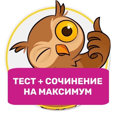 Годовой курс ОК ЕГЭ 2208043